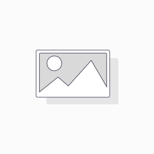 FORCE 5457731 CUBO CROMADO LARGO 77MM 6 PUNTOS ESPIGA 1/2' 31MM (043325)